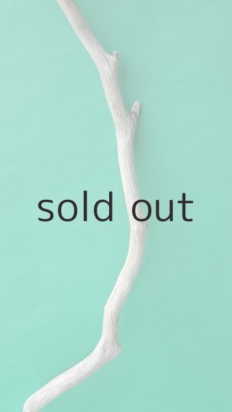 画像3: 幹流木 (3)