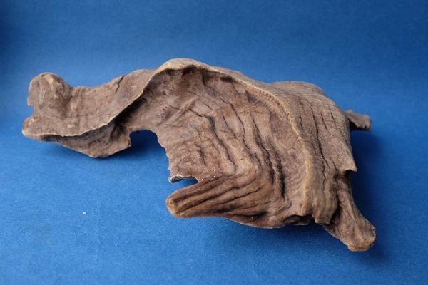 画像4: 変形流木 (4)