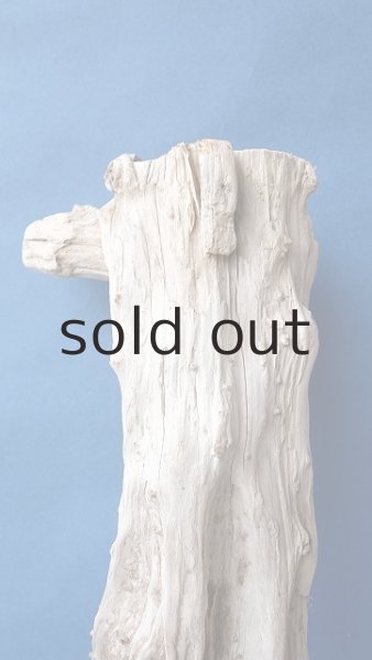 画像3: 変形流木 (3)