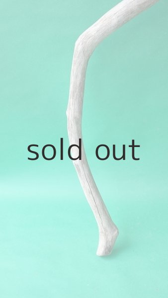 画像2: 幹流木 (2)