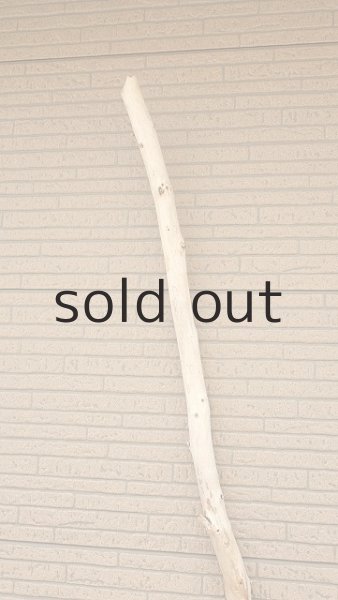 画像4: 棒流木・長尺 (4)