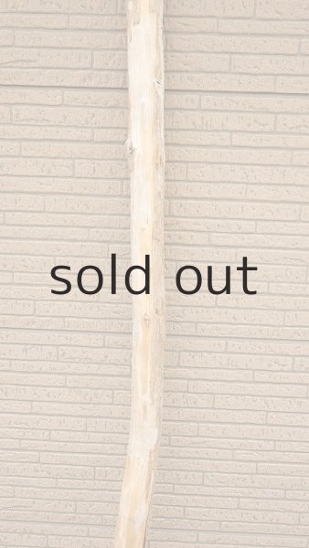 画像3: 棒流木・長尺 (3)