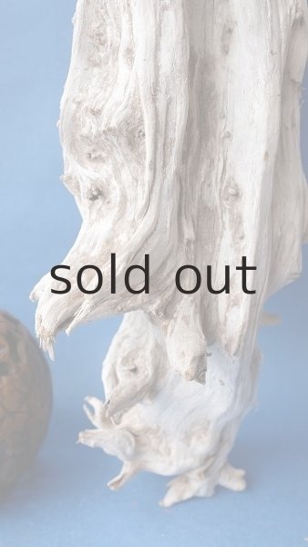 画像2: 変形流木 (2)