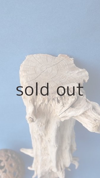 画像4: 変形流木 (4)