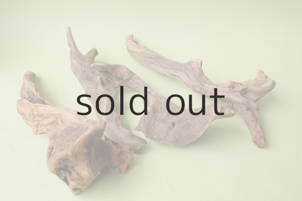 画像5: 変形流木セット (5)