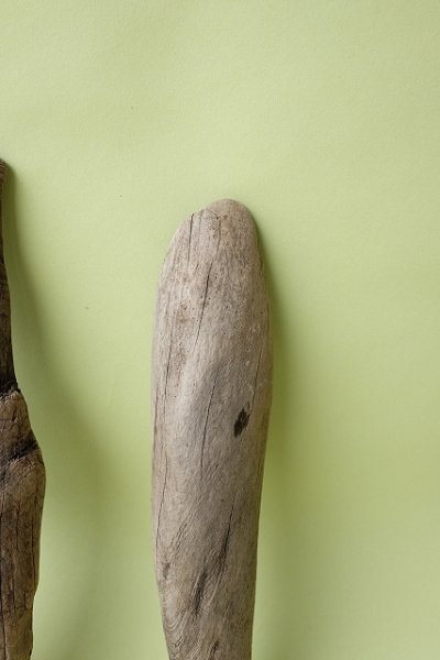 画像5: 変形流木セット (5)