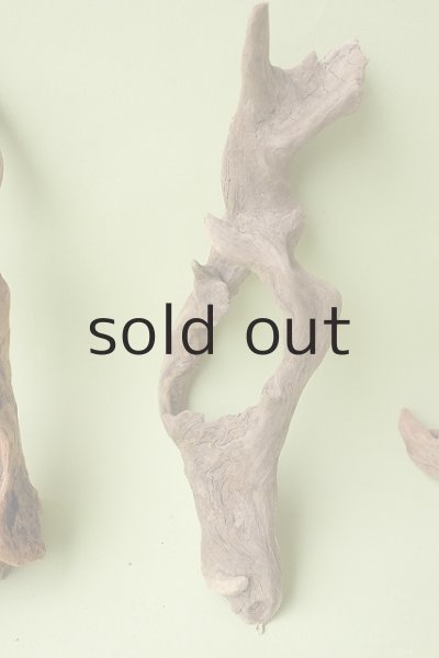 画像3: 変形流木セット (3)