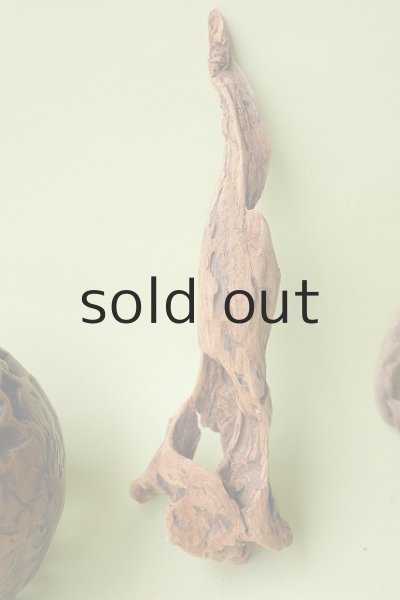 画像2: 変形流木セット (2)