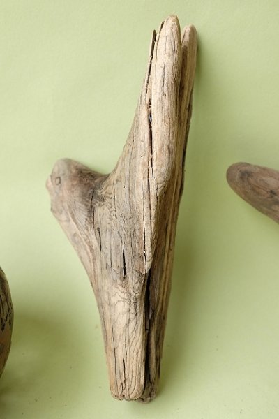 画像2: 変形流木セット (2)