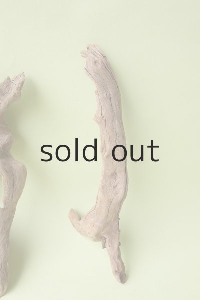 画像4: 変形流木セット (4)