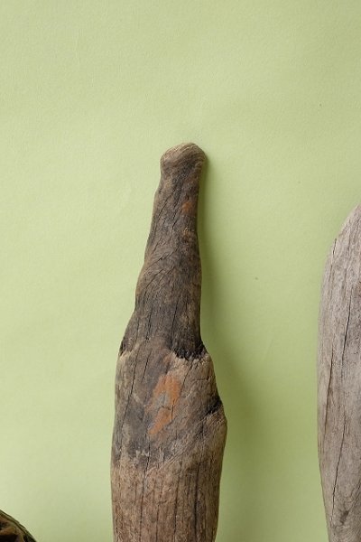 画像3: 変形流木セット (3)