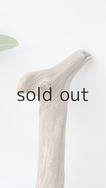 画像5: 変形流木 (5)