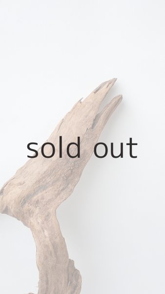 画像4: 変形流木 (4)