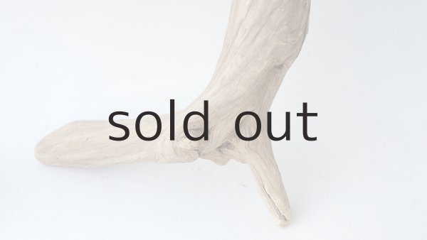 画像4: 変形流木 (4)