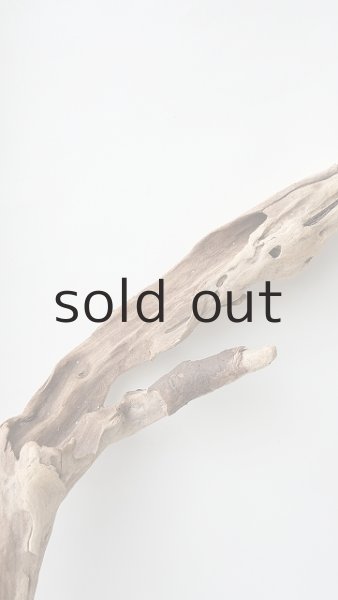 画像5: 変形流木 (5)