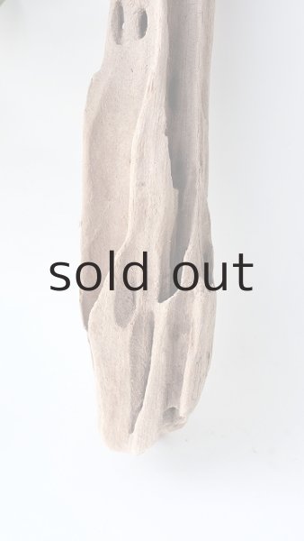 画像3: 変形流木 (3)