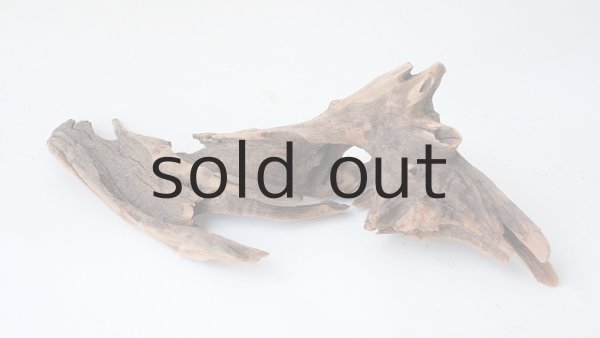 画像6: 変形流木 (6)