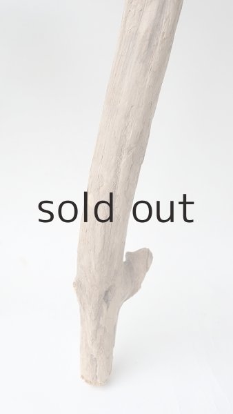 画像2: 変形流木 (2)