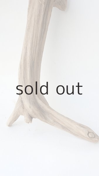 画像2: 変形流木 (2)