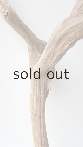 画像7: 変形流木 (7)