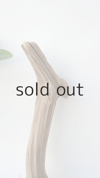 画像3: 変形流木 (3)