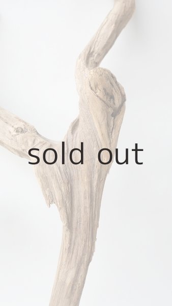 画像3: 変形流木 (3)