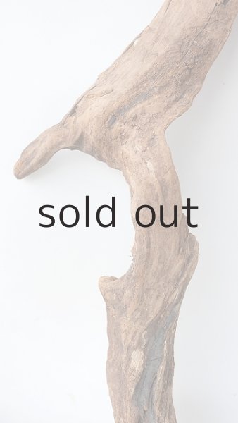 画像3: 変形流木 (3)