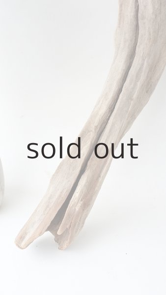 画像2: 変形流木 (2)