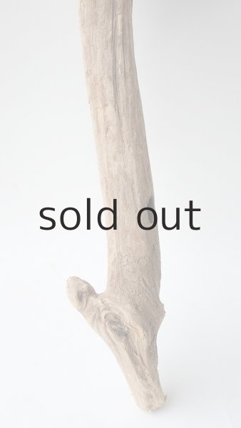 画像6: 変形流木 (6)