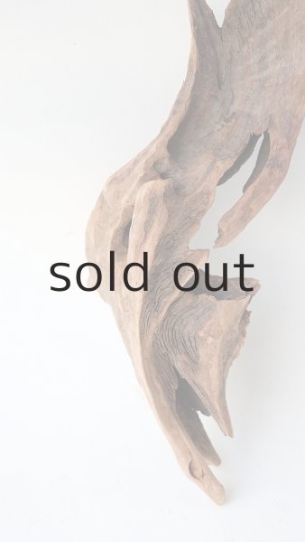 画像2: 変形流木 (2)