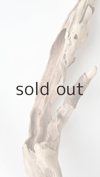 画像7: 変形流木 (7)