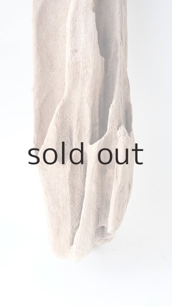 画像2: 変形流木 (2)