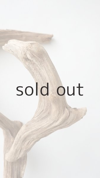 画像8: 変形流木 (8)