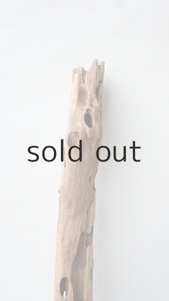 画像4: 変形流木 (4)