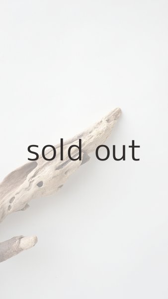 画像6: 変形流木 (6)