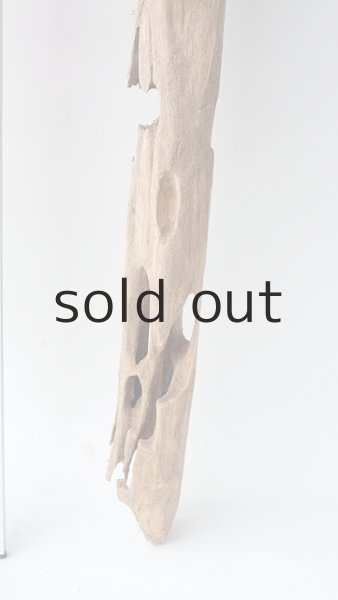 画像5: 変形流木 (5)