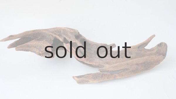 画像4: 変形流木 (4)