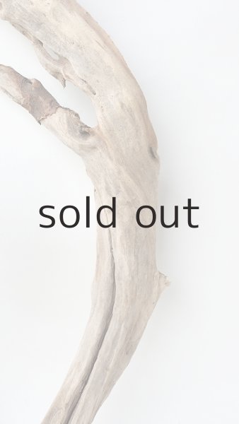 画像3: 変形流木 (3)