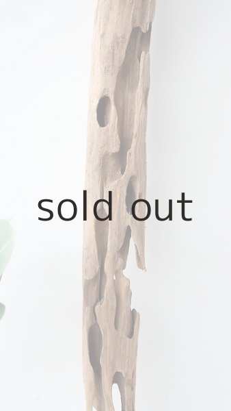 画像3: 変形流木 (3)