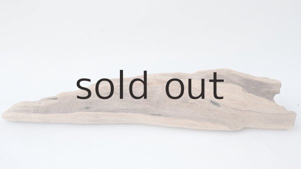 画像5: 変形流木 (5)