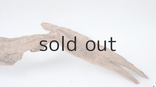 画像6: 変形流木 (6)