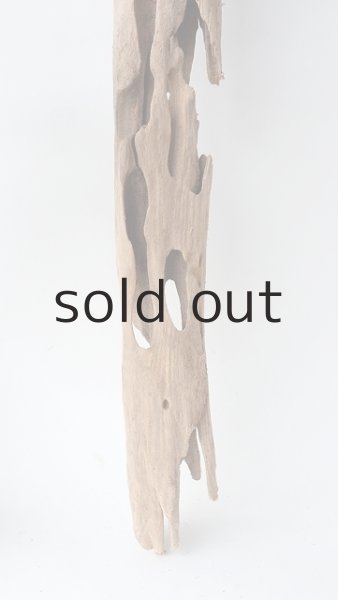 画像2: 変形流木 (2)