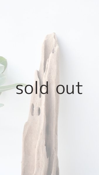 画像4: 変形流木 (4)