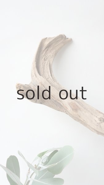 画像4: 変形流木 (4)