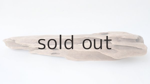 画像6: 変形流木 (6)