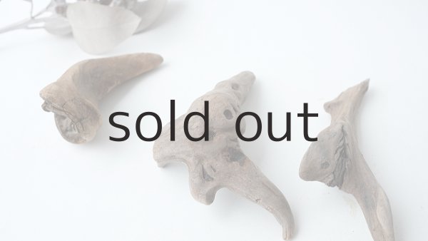 画像2: 変形流木セット (2)