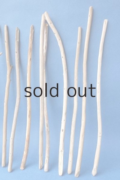 画像4: 棒流木セット (4)