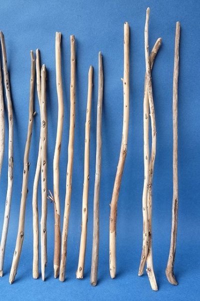 画像4: 棒流木セット (4)