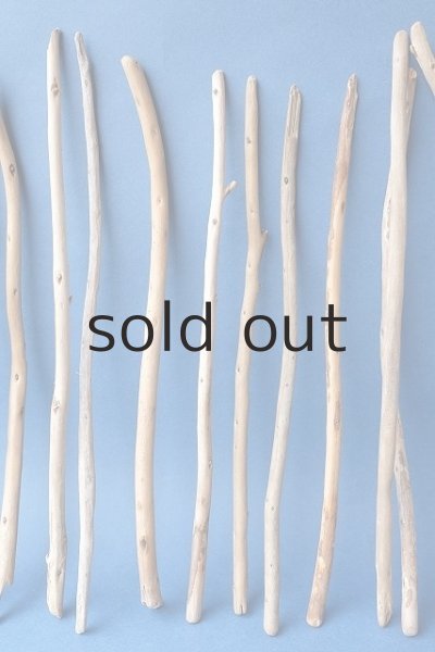 画像3: 棒流木セット (3)