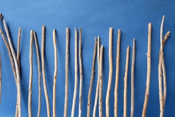 画像6: 棒流木セット (6)